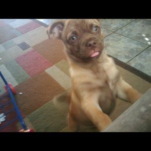 Meet your Posher, Savanna